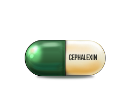 Cephalexin